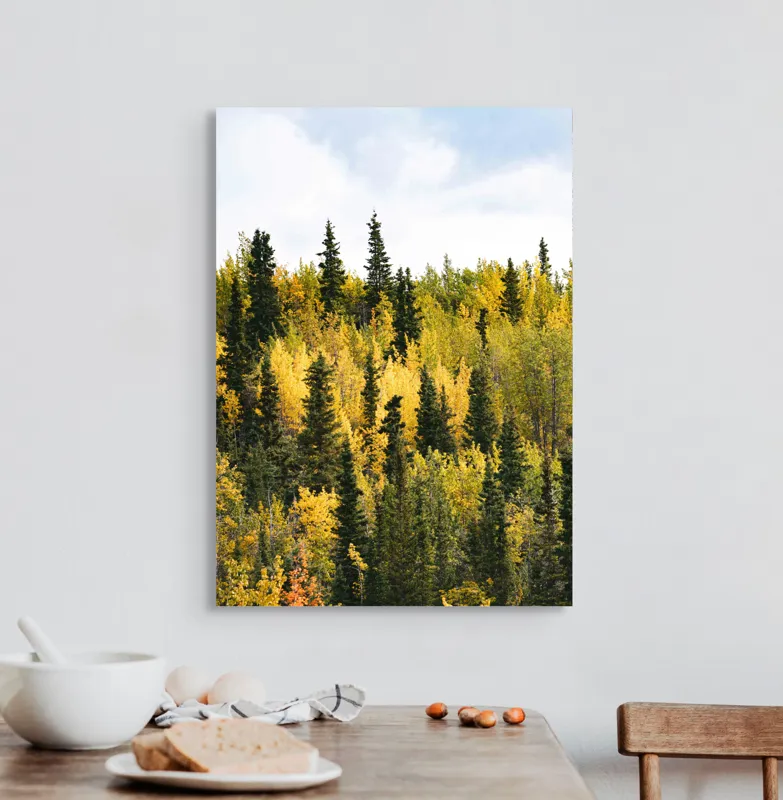 Tablou Canvas, "Padurea in straie de toamna", Pădure, Toamnă, Culori, Verde, Galben, Arbori, Cer, Natură, Frunziș, Peisaj, 50 x 70 cm – poza 3