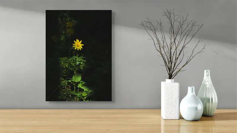 Tablou Canvas, "Floarea însorită în umbra pădurii", Floare, Galbenă, Întuneric, Iluminată, Frunzele, Mister, Natură, Solitar, Sclipire, Contrast., 39 x 54 cm – poza 4