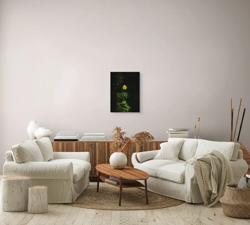 Tablou Canvas, "Floarea însorită în umbra pădurii", Floare, Galbenă, Întuneric, Iluminată, Frunzele, Mister, Natură, Solitar, Sclipire, Contrast., 39 x 54 cm – poza 5