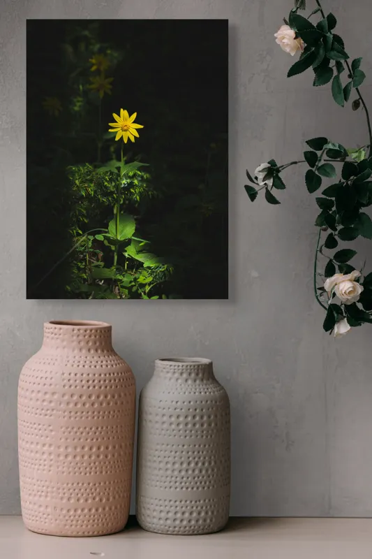 Tablou Canvas, "Floarea însorită în umbra pădurii", Floare, Galbenă, Întuneric, Iluminată, Frunzele, Mister, Natură, Solitar, Sclipire, Contrast., 39 x 54 cm – poza 6