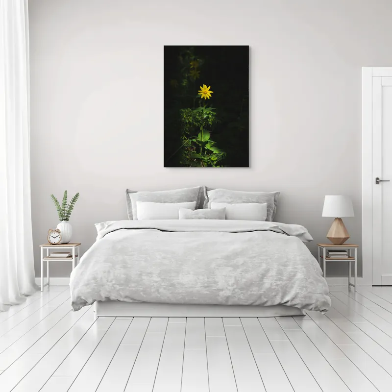 Tablou Canvas, "Floarea însorită în umbra pădurii", Floare, Galbenă, Întuneric, Iluminată, Frunzele, Mister, Natură, Solitar, Sclipire, Contrast., 70 x 100 cm – poza 3