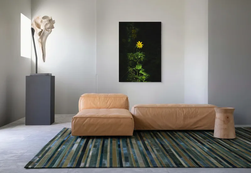 Tablou Canvas, "Floarea însorită în umbra pădurii", Floare, Galbenă, Întuneric, Iluminată, Frunzele, Mister, Natură, Solitar, Sclipire, Contrast., 70 x 100 cm – poza 7