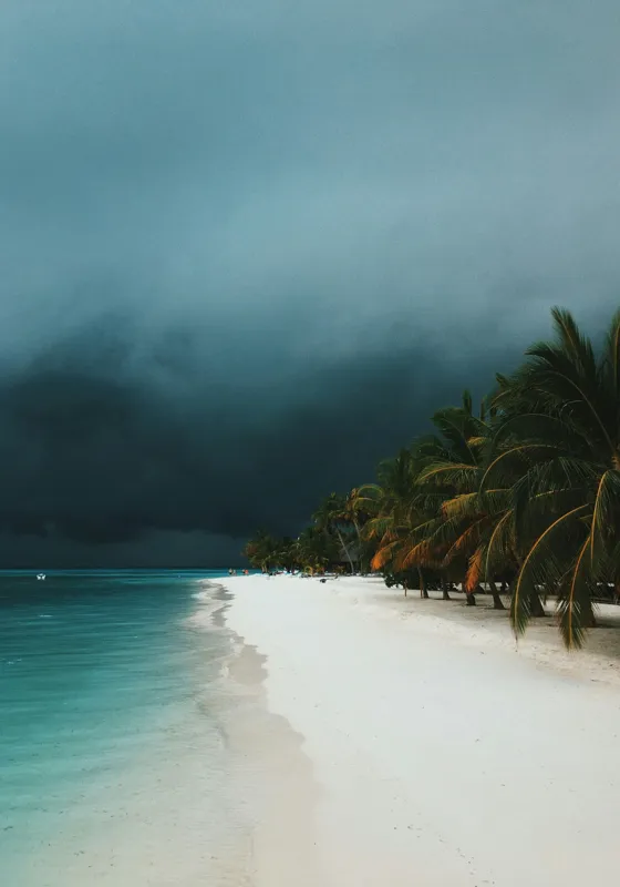 Tablou Canvas, "Furtună aproape de paradis tropical", Ocean, Nisip, Palmieri, Cer, Întunecare, Apus, Natură, Pustiu, Calm, Aventura, 70 x 100 cm – poza 2