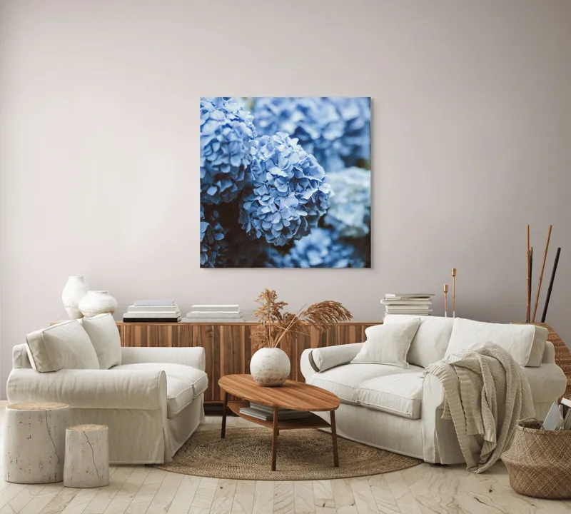 Tablou Canvas, "Blândețea florilor de hortensie albastre", Flori, Albastru, Delicatețe, Petale, Natură, Frumusețe, Textură, 100 x 100 cm – poza 3
