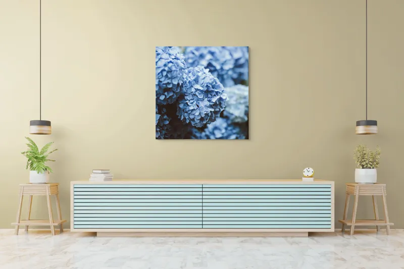 Tablou Canvas, "Blândețea florilor de hortensie albastre", Flori, Albastru, Delicatețe, Petale, Natură, Frumusețe, Textură, 100 x 100 cm – poza 5