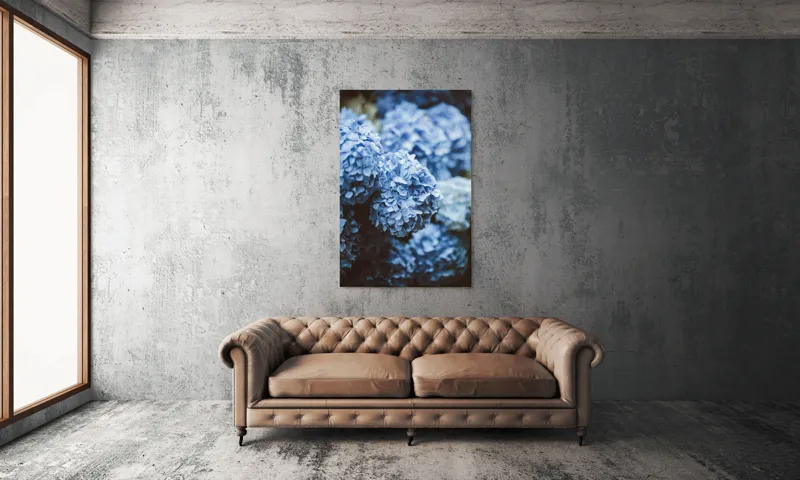 Tablou Canvas, "Blândețea florilor de hortensie albastre", Flori, Albastru, Delicatețe, Petale, Natură, Frumusețe, Textură, 100 x 150 cm – poza 6