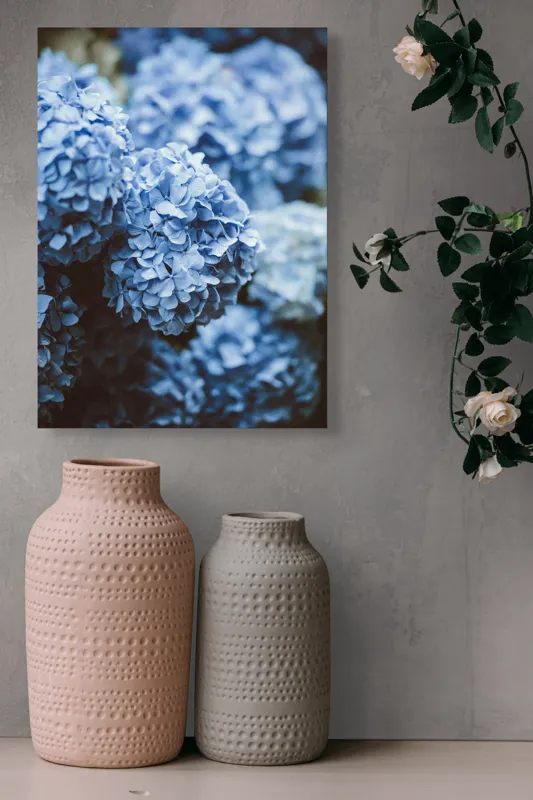 Tablou Canvas, "Blândețea florilor de hortensie albastre", Flori, Albastru, Delicatețe, Petale, Natură, Frumusețe, Textură, 39 x 54 cm – poza 6