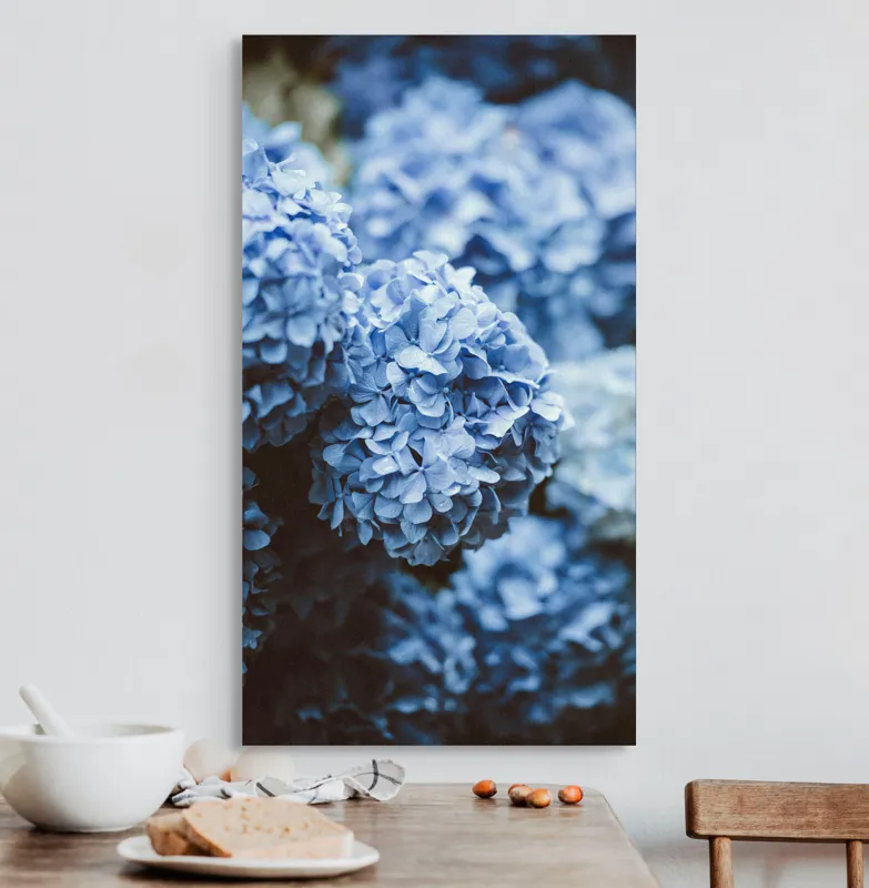 Tablou Canvas, "Blândețea florilor de hortensie albastre", Flori, Albastru, Delicatețe, Petale, Natură, Frumusețe, Textură, 50 x 90 cm – poza 3