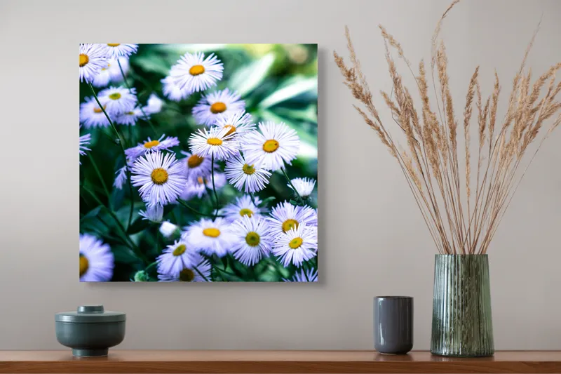 Tablou Canvas, "Dansul florilor de câmp albastre", Flori, Mov, Galben, Petale, Luminozitate, Natură, Verdeață, Grădină, Soare, Frunze, 50 x 50 cm – poza 4