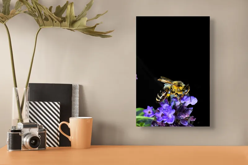 Tablou Canvas, "Albine și flori în noapte senină", Albină, Flori, Violet, Natură, Macro, Detaliu, Contrast, Nectar, Înflorire, Frumusețe, 26 x 39 cm – poza 3