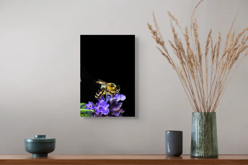 Tablou Canvas, "Albine și flori în noapte senină", Albină, Flori, Violet, Natură, Macro, Detaliu, Contrast, Nectar, Înflorire, Frumusețe, 26 x 39 cm – poza 5