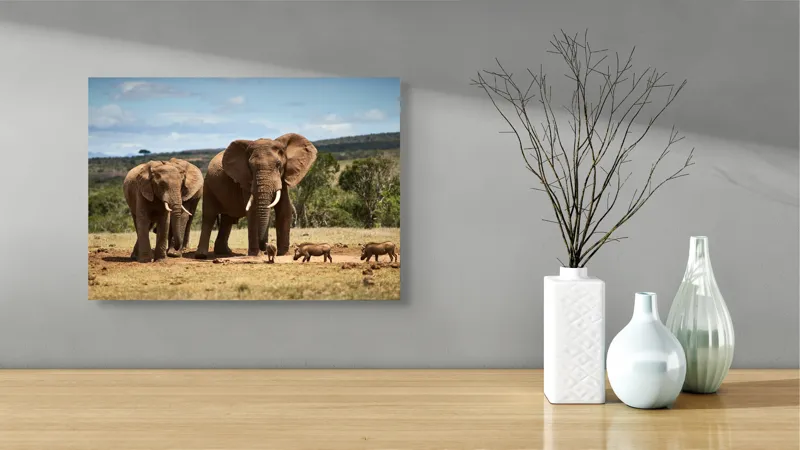 Tablou Canvas, "Elefanți și mistreți în savană africană", Elefanți, Pajiște, Pui, Arbuști, Cer, Natură, 54 x 39 cm – poza 3