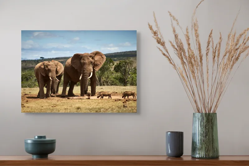 Tablou Canvas, "Elefanți și mistreți în savană africană", Elefanți, Pajiște, Pui, Arbuști, Cer, Natură, 54 x 39 cm – poza 4