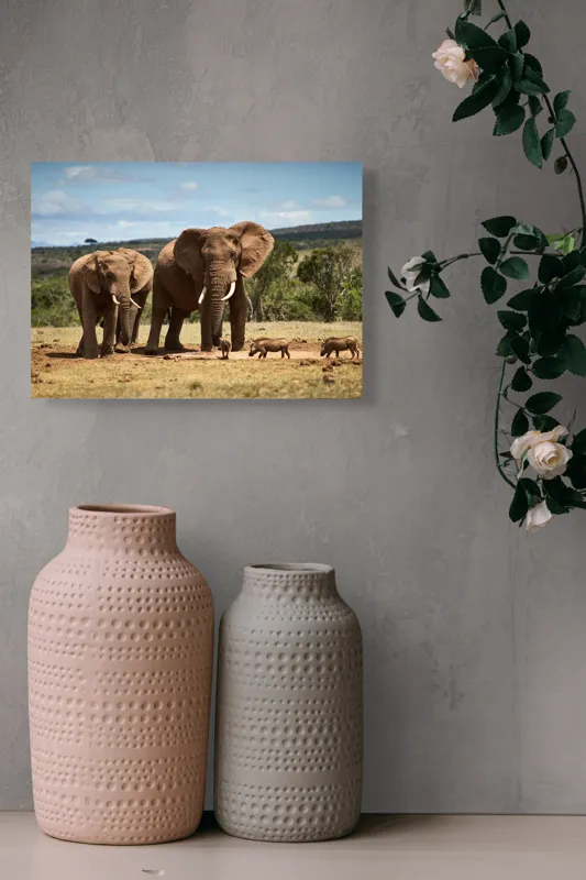 Tablou Canvas, "Elefanți și mistreți în savană africană", Elefanți, Pajiște, Pui, Arbuști, Cer, Natură, 54 x 39 cm – poza 8