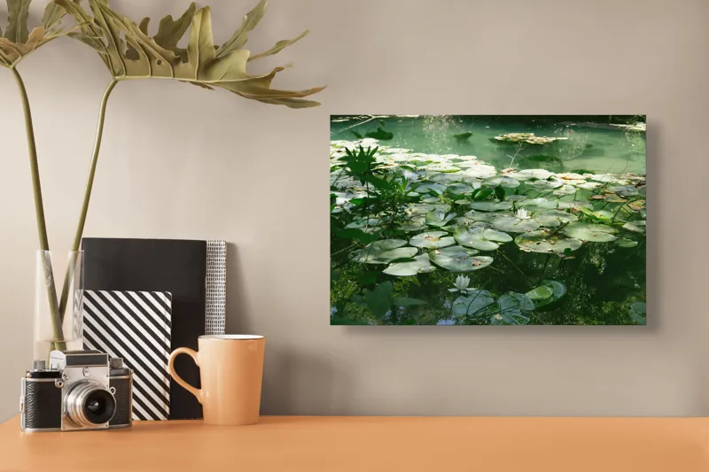 Tablou Canvas, "Nufăr plutitor în lumina dimineții", Liniște, Natură, Nufăr, Apă, Verdeață, Reflecție, Pace, Seninătate, Frunziș, Calm, 39 x 26 cm – poza 3