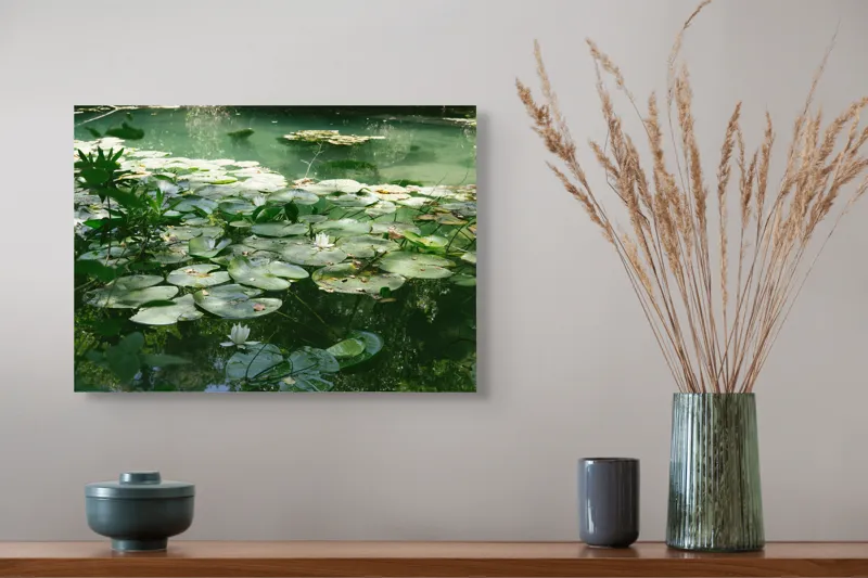 Tablou Canvas, "Nufăr plutitor în lumina dimineții", Liniște, Natură, Nufăr, Apă, Verdeață, Reflecție, Pace, Seninătate, Frunziș, Calm, 54 x 39 cm – poza 4
