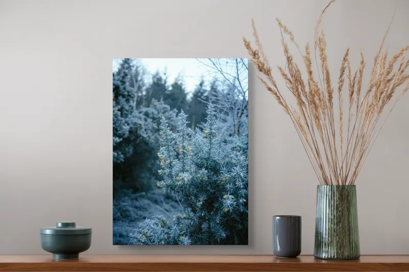 Tablou Canvas, "Florile înghețate ale dimineții de iarnă", Gheață, Vegetație, Galben, Natură, Iarnă, Pădure, Frig, 39 x 54 cm – poza 3