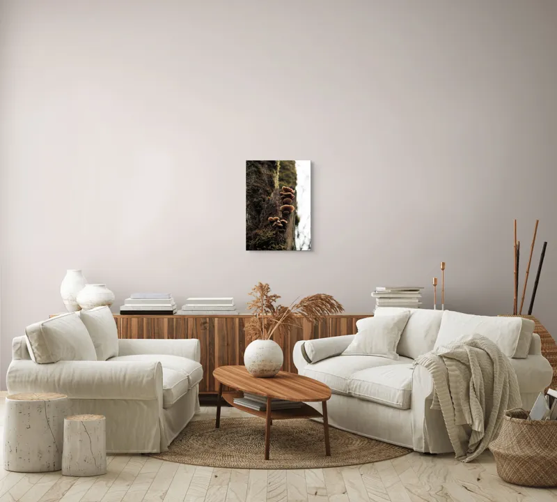 Tablou Canvas, "Ciuperci crescând pe trunchiul copacului", Ciuperci, Trunchi, Mușchi, Natură, Pădure, Textură, Organic, Lemn, Creștere, Sălbatic., 39 x 54 cm – poza 5