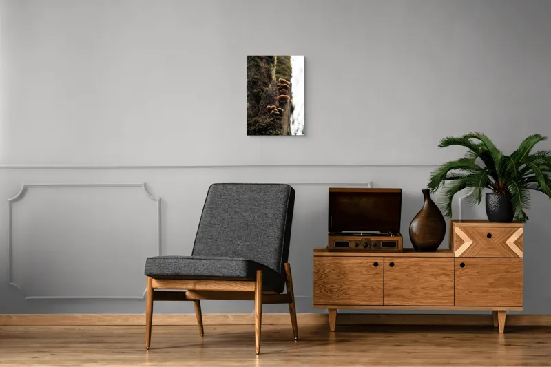 Tablou Canvas, "Ciuperci crescând pe trunchiul copacului", Ciuperci, Trunchi, Mușchi, Natură, Pădure, Textură, Organic, Lemn, Creștere, Sălbatic., 39 x 54 cm – poza 8