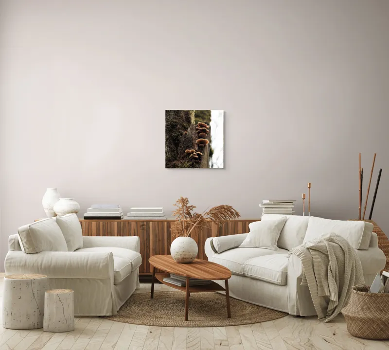 Tablou Canvas, "Ciuperci crescând pe trunchiul copacului", Ciuperci, Trunchi, Mușchi, Natură, Pădure, Textură, Organic, Lemn, Creștere, Sălbatic., 50 x 50 cm – poza 7
