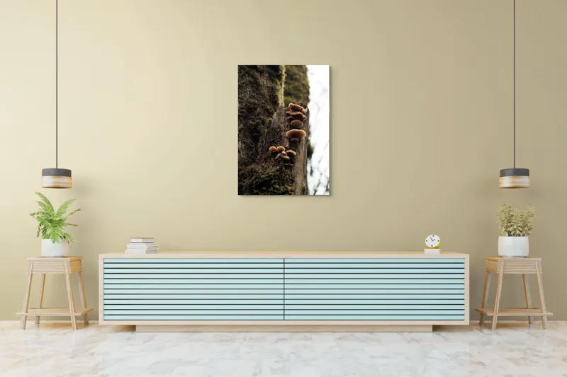 Tablou Canvas, "Ciuperci crescând pe trunchiul copacului", Ciuperci, Trunchi, Mușchi, Natură, Pădure, Textură, Organic, Lemn, Creștere, Sălbatic., 70 x 100 cm – poza 5