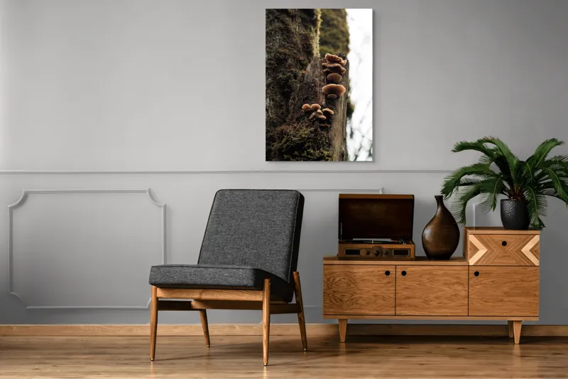 Tablou Canvas, "Ciuperci crescând pe trunchiul copacului", Ciuperci, Trunchi, Mușchi, Natură, Pădure, Textură, Organic, Lemn, Creștere, Sălbatic., 70 x 100 cm – poza 6