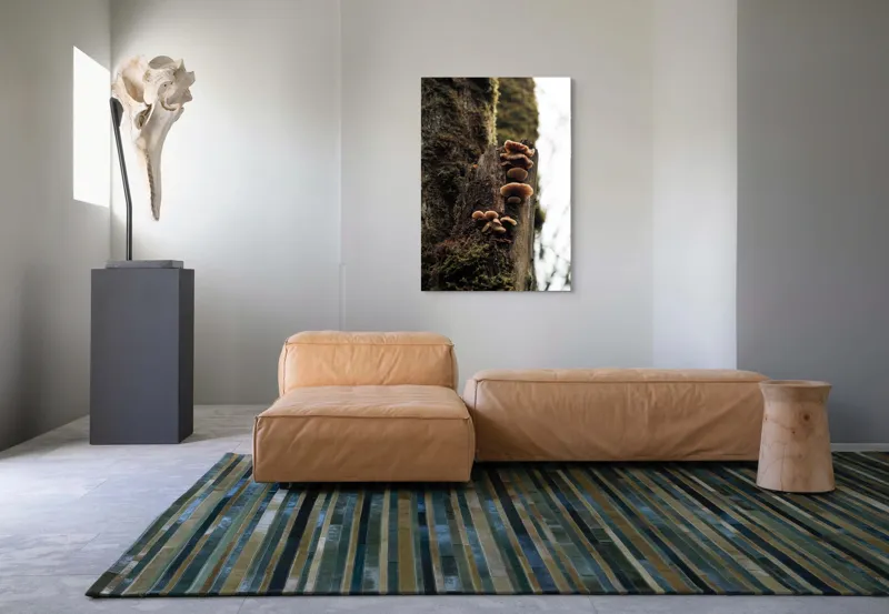 Tablou Canvas, "Ciuperci crescând pe trunchiul copacului", Ciuperci, Trunchi, Mușchi, Natură, Pădure, Textură, Organic, Lemn, Creștere, Sălbatic., 70 x 100 cm – poza 7