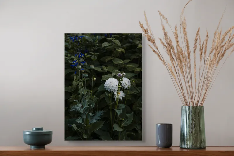 Tablou Canvas, "Flori albe în grădină întunecată", Flori, Verdeață, Mister, Natură, Amurg, Contrast, Delicatețe, Grădină, Liniște, Umbră, 39 x 54 cm – poza 3