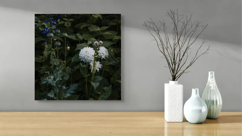 Tablou Canvas, "Flori albe în grădină întunecată", Flori, Verdeață, Mister, Natură, Amurg, Contrast, Delicatețe, Grădină, Liniște, Umbră, 50 x 50 cm – poza 3