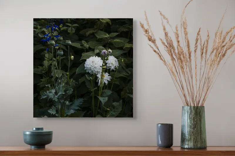 Tablou Canvas, "Flori albe în grădină întunecată", Flori, Verdeață, Mister, Natură, Amurg, Contrast, Delicatețe, Grădină, Liniște, Umbră, 50 x 50 cm – poza 4