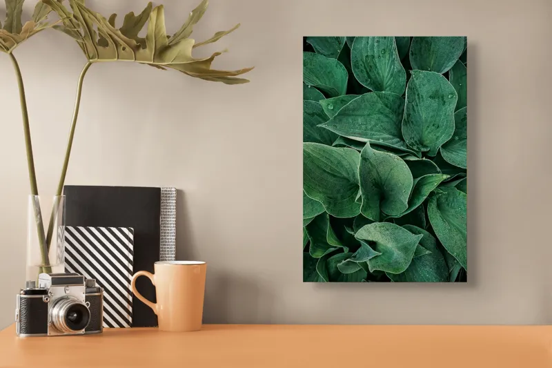 Tablou Canvas, "Frunzele dimineții cu picături de rouă", Verde, Frunze, Picături, Prospețime, Natură, Textură, Vitalitate, Puritate, 26 x 39 cm – poza 3