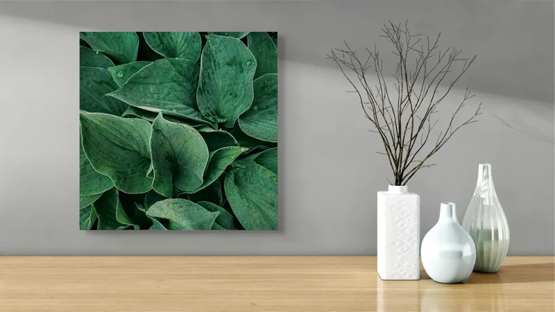 Tablou Canvas, "Frunzele dimineții cu picături de rouă", Verde, Frunze, Picături, Prospețime, Natură, Textură, Vitalitate, Puritate, 50 x 50 cm – poza 3
