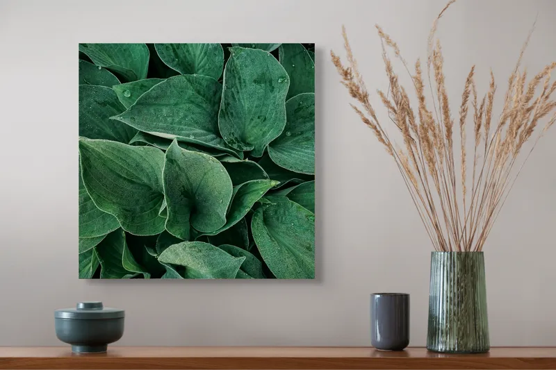 Tablou Canvas, "Frunzele dimineții cu picături de rouă", Verde, Frunze, Picături, Prospețime, Natură, Textură, Vitalitate, Puritate, 50 x 50 cm – poza 4