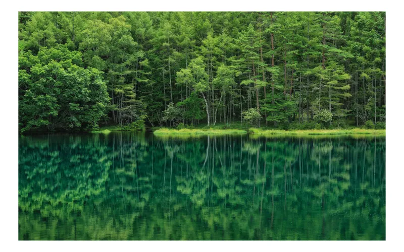 Tablou Canvas, "Verde nesfârșit oglindit în apă", Verde, Reflecții, Liniște, Natură, Pădure, Apă, Seninătate, Peisaj, 54 x 39 cm