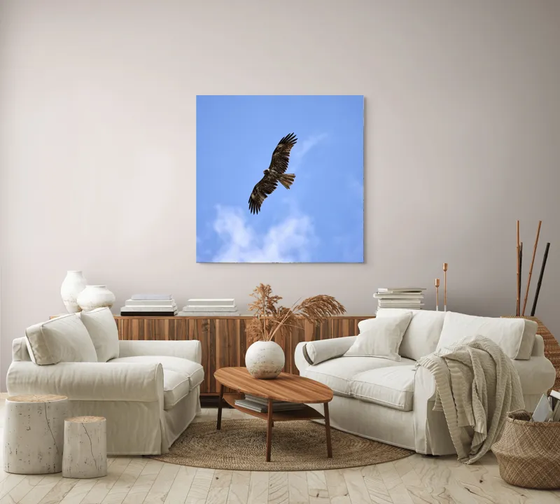 Tablou Canvas, "Vulturul în zborul libertății cerului", Pasăre, Cer, Albastru, Vultur, Zbor, Aripi, Nori, 100 x 100 cm – poza 3
