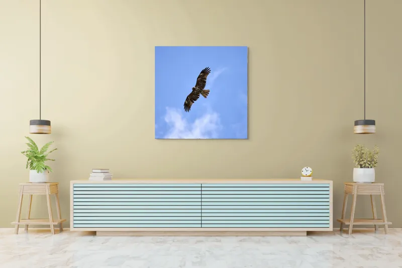 Tablou Canvas, "Vulturul în zborul libertății cerului", Pasăre, Cer, Albastru, Vultur, Zbor, Aripi, Nori, 100 x 100 cm – poza 5
