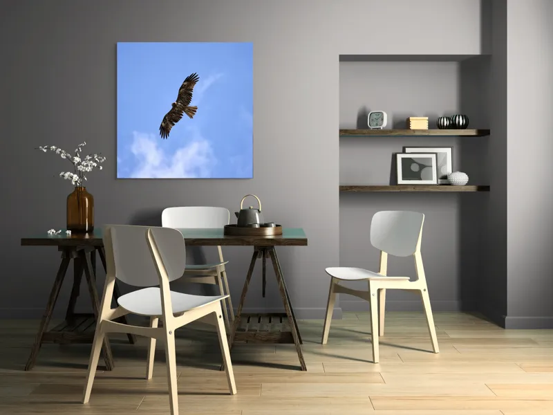 Tablou Canvas, "Vulturul în zborul libertății cerului", Pasăre, Cer, Albastru, Vultur, Zbor, Aripi, Nori, 100 x 100 cm – poza 6