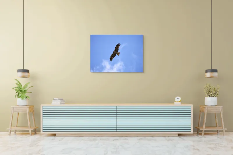 Tablou Canvas, "Vulturul în zborul libertății cerului", Pasăre, Cer, Albastru, Vultur, Zbor, Aripi, Nori, 100 x 70 cm – poza 4