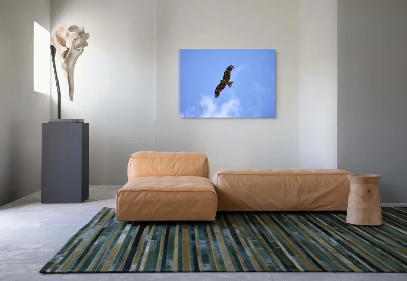 Tablou Canvas, "Vulturul în zborul libertății cerului", Pasăre, Cer, Albastru, Vultur, Zbor, Aripi, Nori, 100 x 70 cm – poza 7