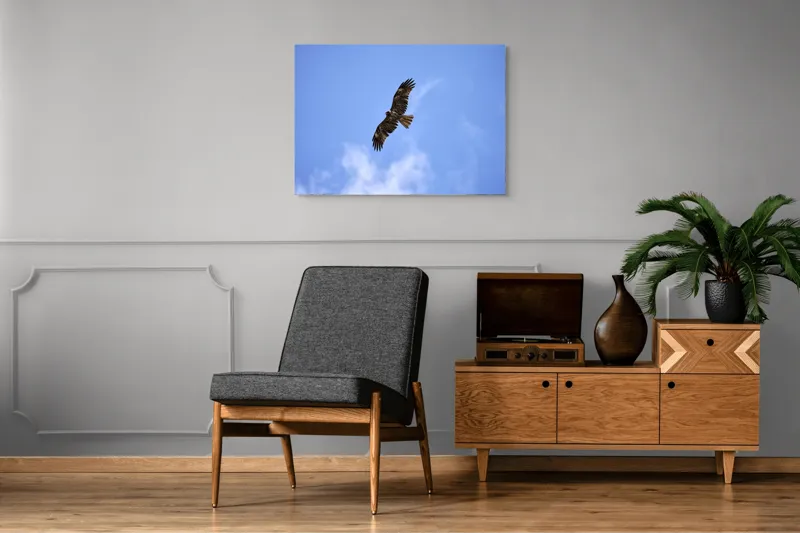Tablou Canvas, "Vulturul în zborul libertății cerului", Pasăre, Cer, Albastru, Vultur, Zbor, Aripi, Nori, 100 x 70 cm – poza 8