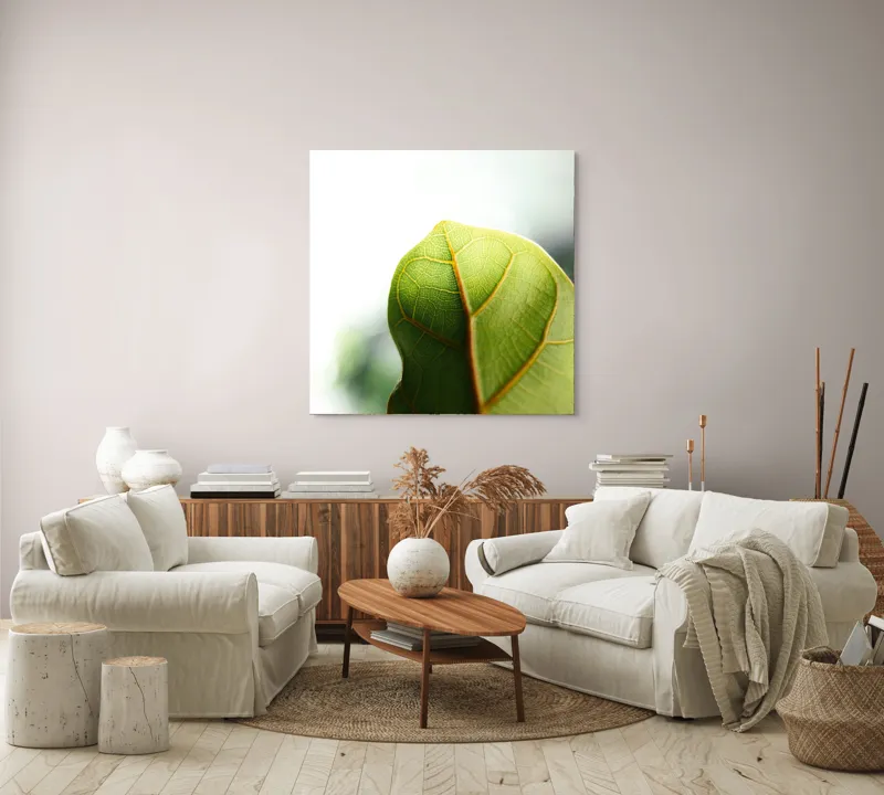 Tablou Canvas, "Textura subtilă a frunzei verzi", Frumusețe, Natură, Detaliu, Verde, Textură, Lumină, Prospețime, 100 x 100 cm – poza 3