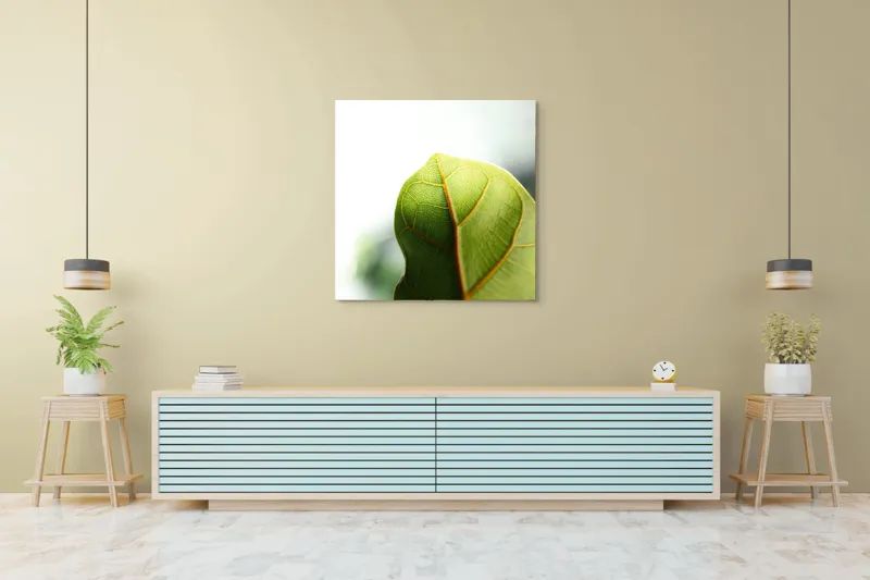 Tablou Canvas, "Textura subtilă a frunzei verzi", Frumusețe, Natură, Detaliu, Verde, Textură, Lumină, Prospețime, 100 x 100 cm – poza 5
