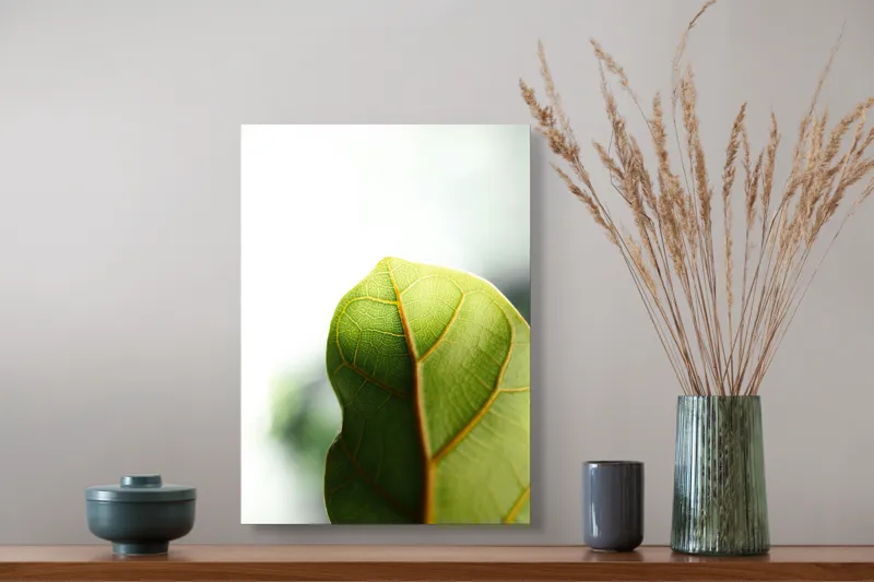 Tablou Canvas, "Textura subtilă a frunzei verzi", Frumusețe, Natură, Detaliu, Verde, Textură, Lumină, Prospețime, 39 x 54 cm – poza 3