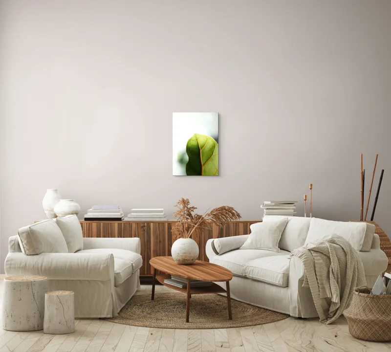 Tablou Canvas, "Textura subtilă a frunzei verzi", Frumusețe, Natură, Detaliu, Verde, Textură, Lumină, Prospețime, 39 x 54 cm – poza 5