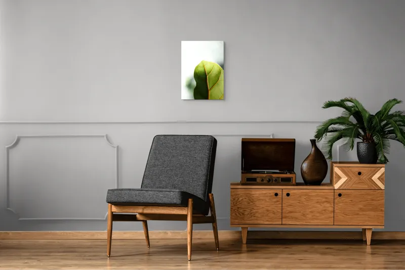 Tablou Canvas, "Textura subtilă a frunzei verzi", Frumusețe, Natură, Detaliu, Verde, Textură, Lumină, Prospețime, 39 x 54 cm – poza 8