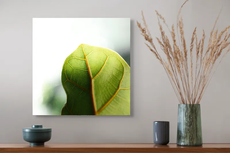 Tablou Canvas, "Textura subtilă a frunzei verzi", Frumusețe, Natură, Detaliu, Verde, Textură, Lumină, Prospețime, 50 x 50 cm – poza 4