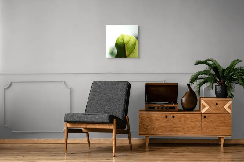 Tablou Canvas, "Textura subtilă a frunzei verzi", Frumusețe, Natură, Detaliu, Verde, Textură, Lumină, Prospețime, 50 x 50 cm – poza 6