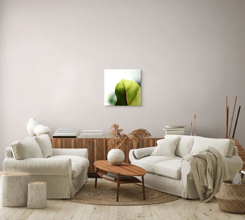 Tablou Canvas, "Textura subtilă a frunzei verzi", Frumusețe, Natură, Detaliu, Verde, Textură, Lumină, Prospețime, 50 x 50 cm – poza 7