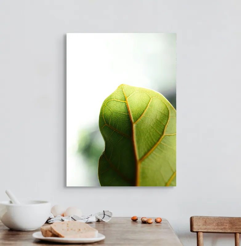 Tablou Canvas, "Textura subtilă a frunzei verzi", Frumusețe, Natură, Detaliu, Verde, Textură, Lumină, Prospețime, 50 x 70 cm – poza 3