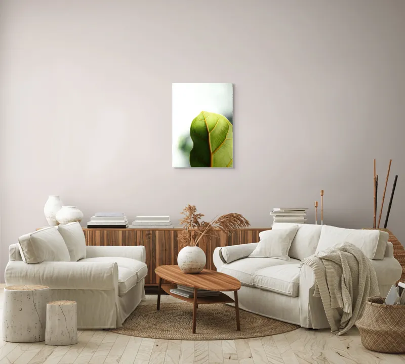 Tablou Canvas, "Textura subtilă a frunzei verzi", Frumusețe, Natură, Detaliu, Verde, Textură, Lumină, Prospețime, 50 x 70 cm – poza 4